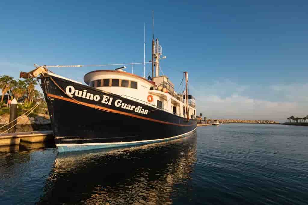 Thumbnail 10