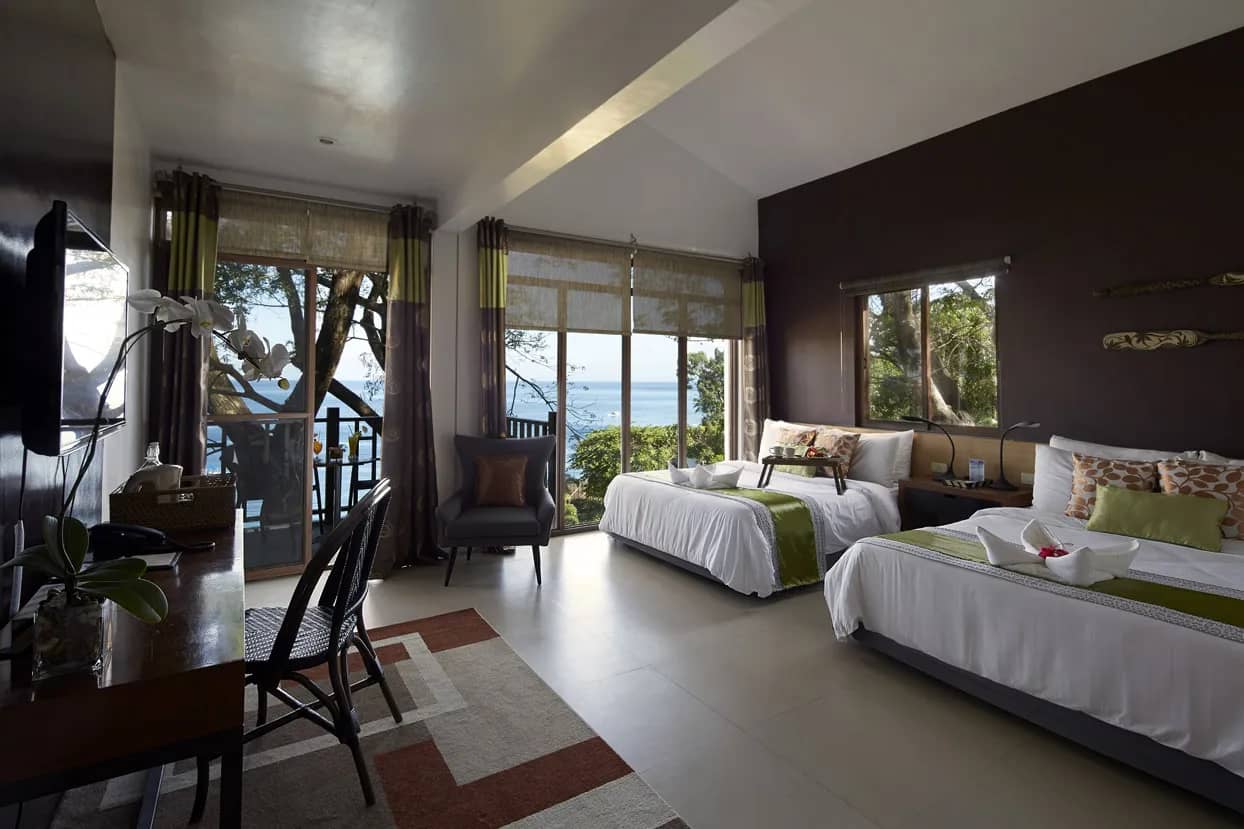 Suite Room - image