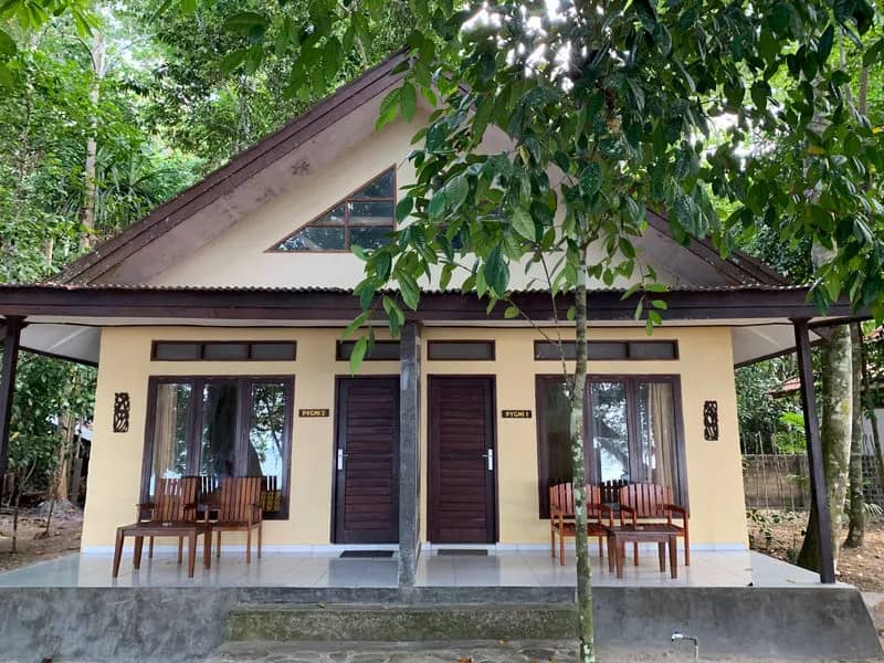 Garden View - image
