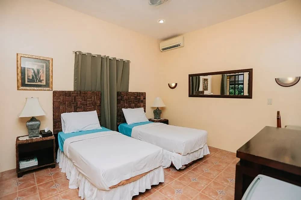Deluxe Twin Room - image