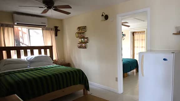 Mango Suite - image