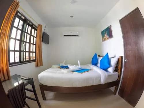 Single Room - image