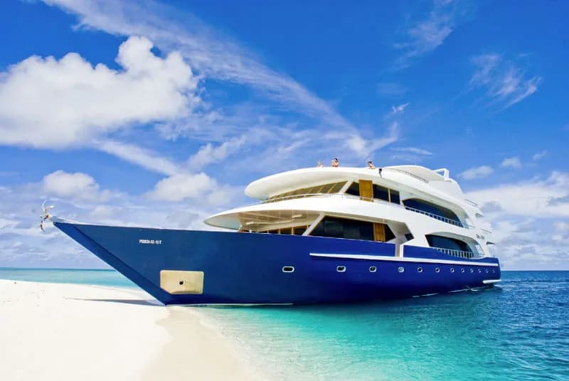 Duke of York - image