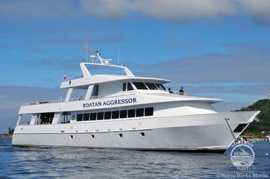 Roatan Aggressor