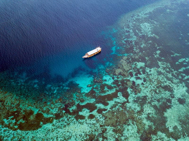 Wakatobi-dive-4.jpg