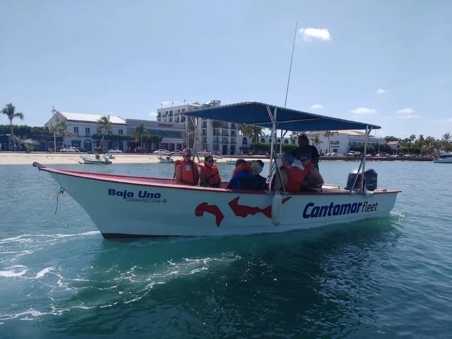 CHC-Dive-2.jpg