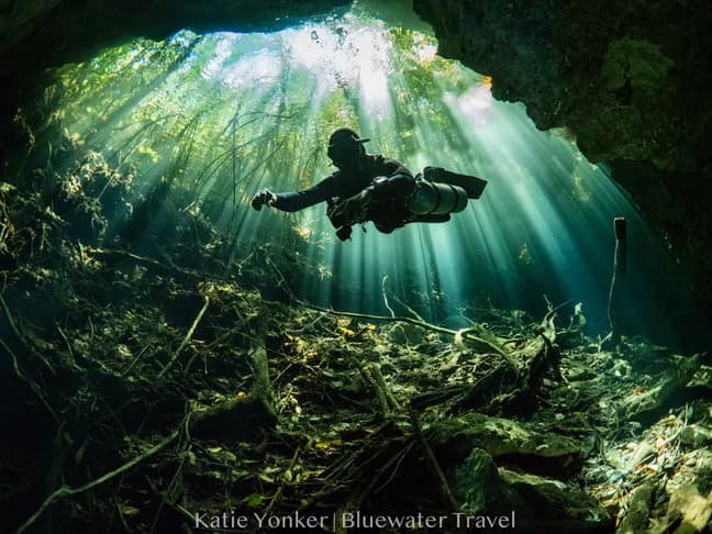 Mexico Dive Resorts - image