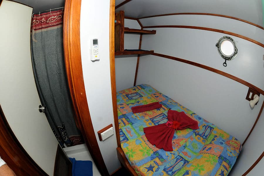 Small Single Cabin 1 Lower Deck - image