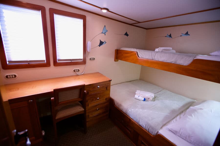 Suite Upper Deck - image