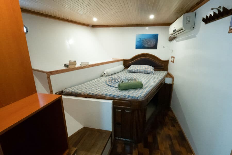 Single Lower Deck - image