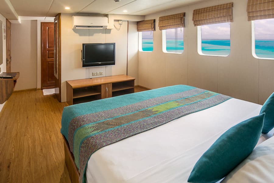 Suite Upper Deck - image