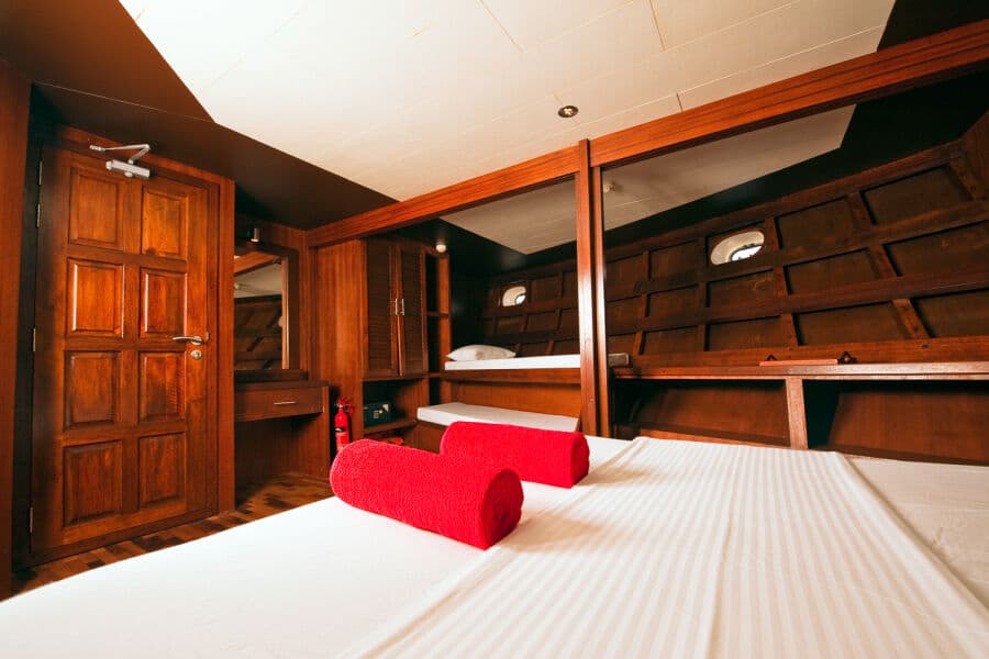 Standard Lower Deck - image