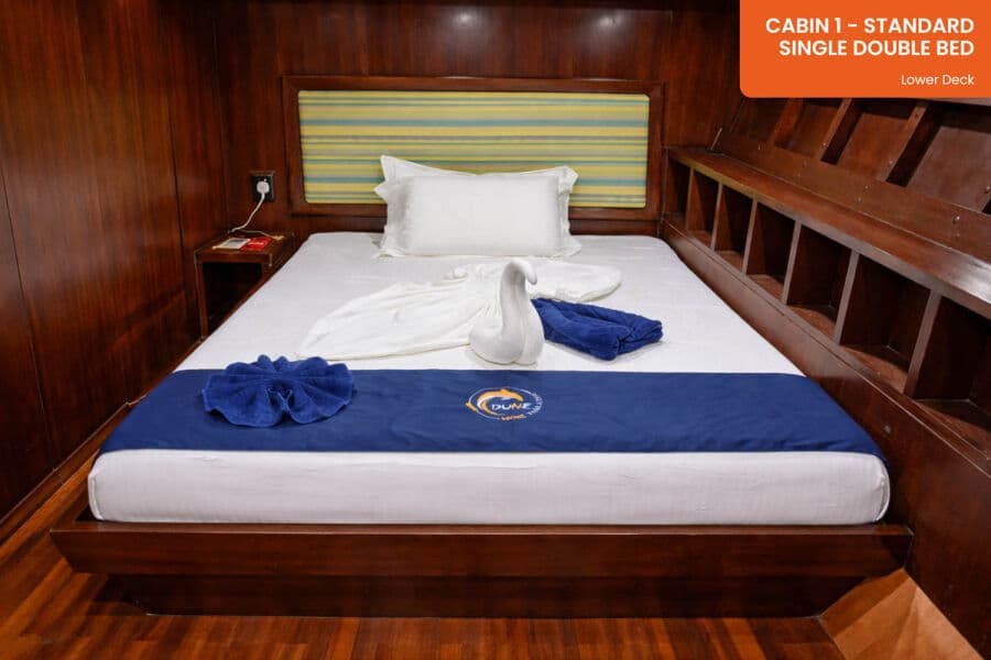 Standard Lower Deck - image