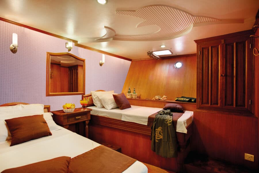 Cabin 3, 6 - Twin Lower Deck - image