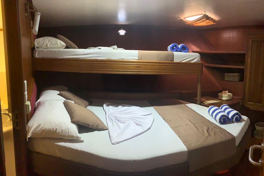 Cabin 4 - Single Lower Deck - image