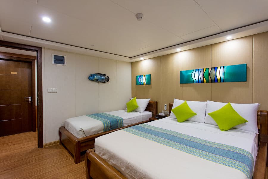 Standard Lower Deck - image