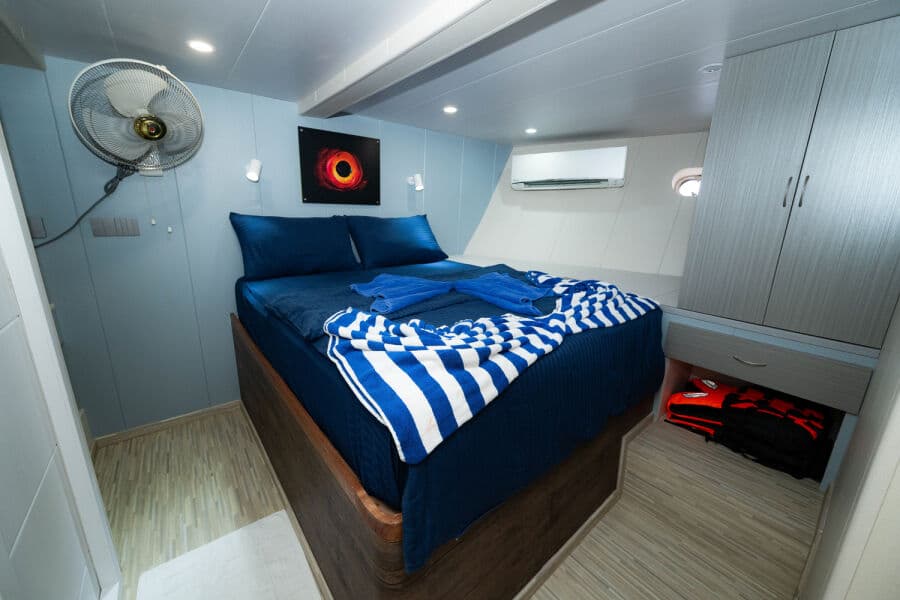 Double Lower Deck - image