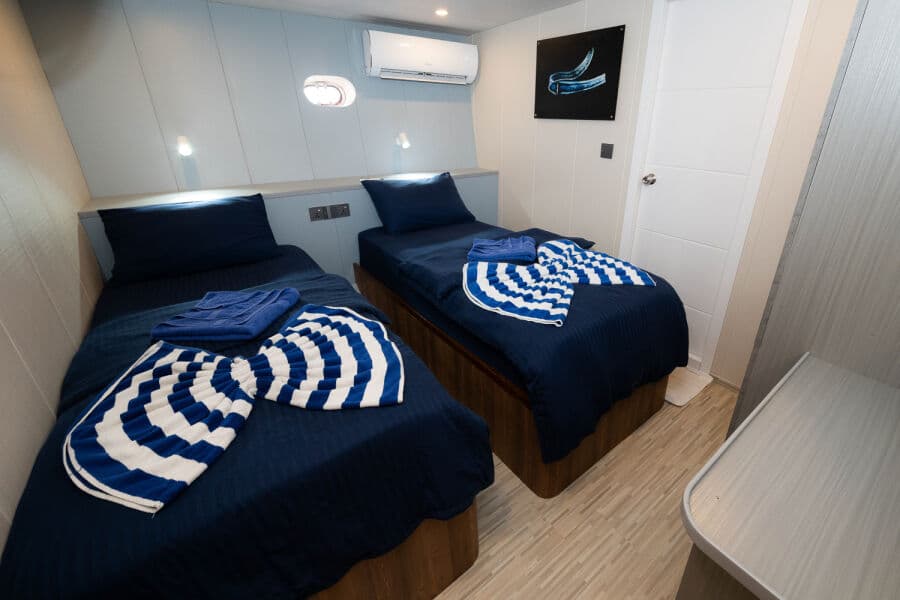 Twin Lower Deck - image