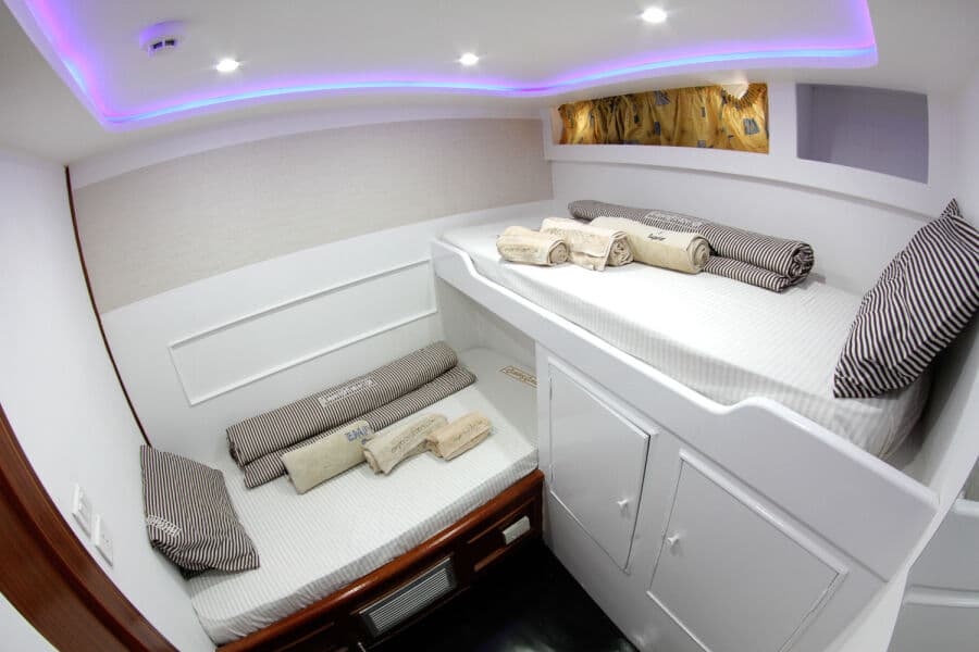 Twin L Bunk Lower Deck - image