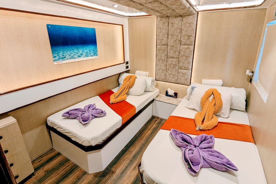 Twin Main Deck - image