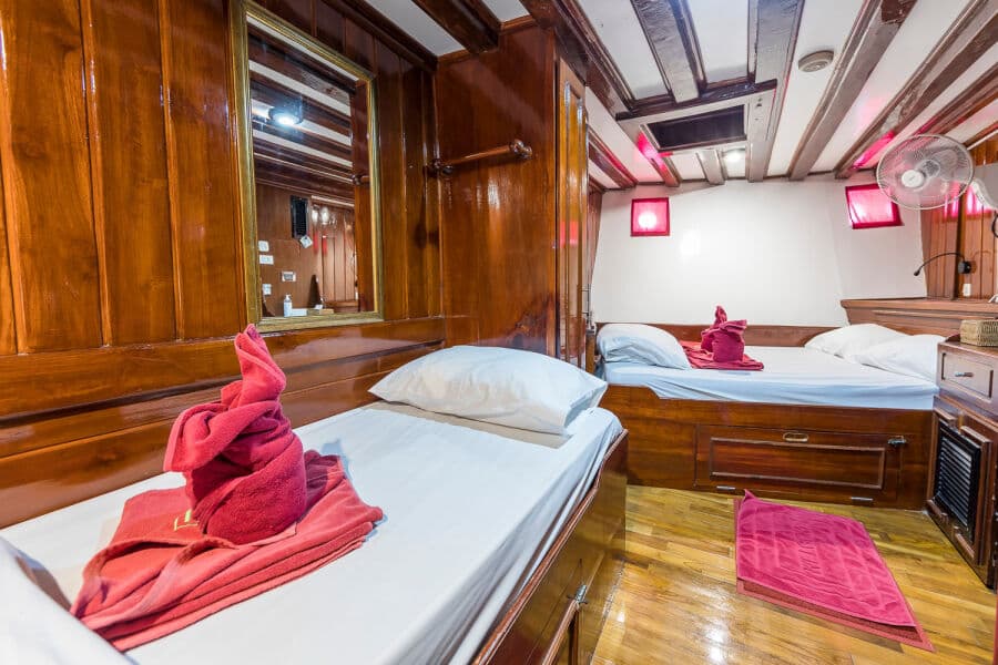 Classic Double/Twin (Cabin 1) Lower Deck - image