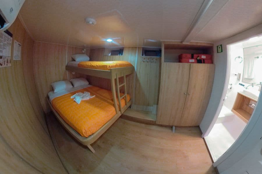 Twin/Double Lower Deck - image