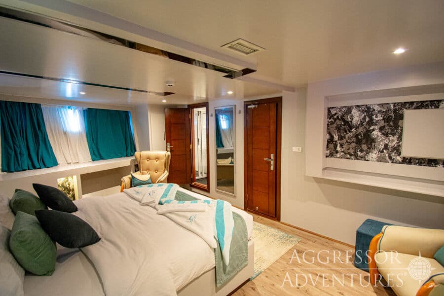 Master Upper Deck - image