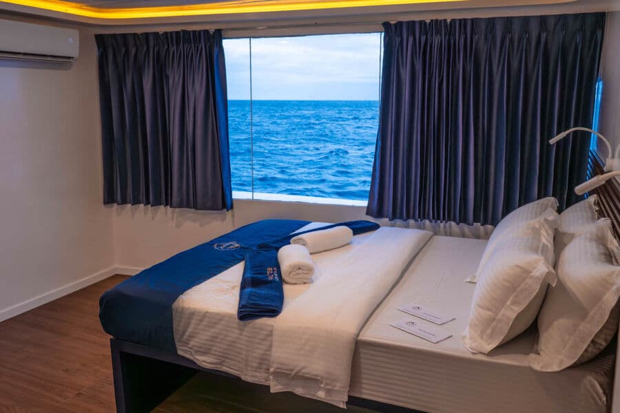 Premium Main Deck - image