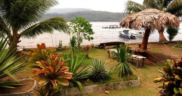 Two Fish Divers' Dive Resort Lembeh - image