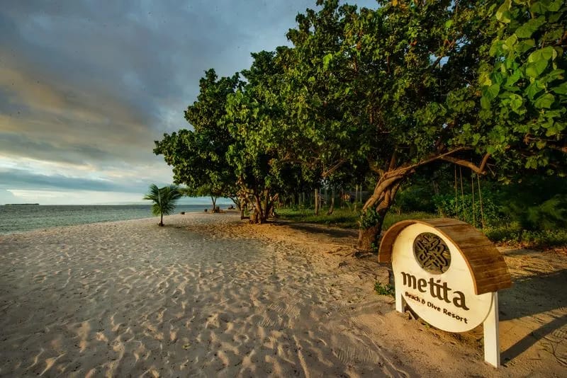 Metita Beach and Dive Resort - image