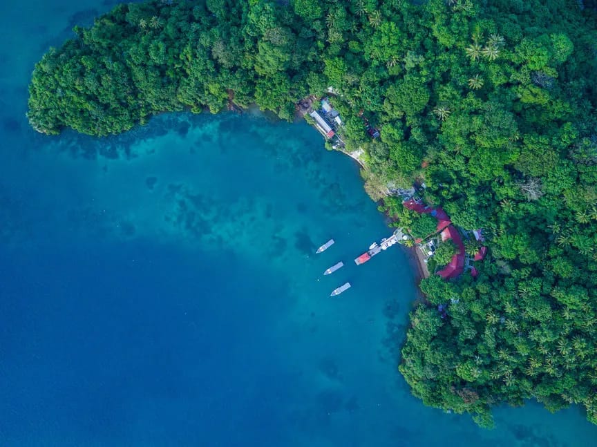 NAD Lembeh Resort - image
