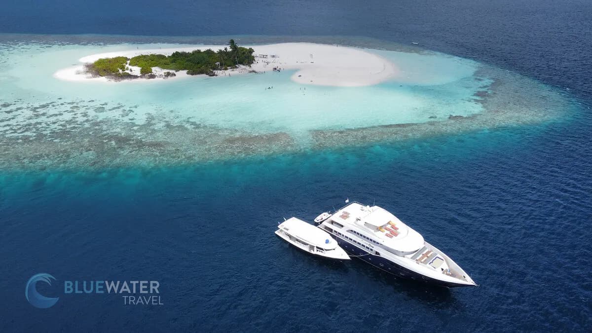 Maldives Trip Recap - image Maldives Trip Recap - image