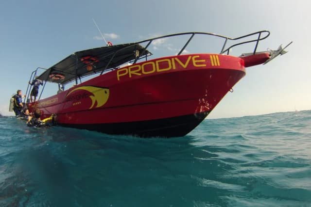 Meet Pro Dive International Meet Pro Dive International