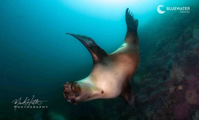 Sea of Cortez Trip Report 2024 Sea of Cortez Trip Report 2024