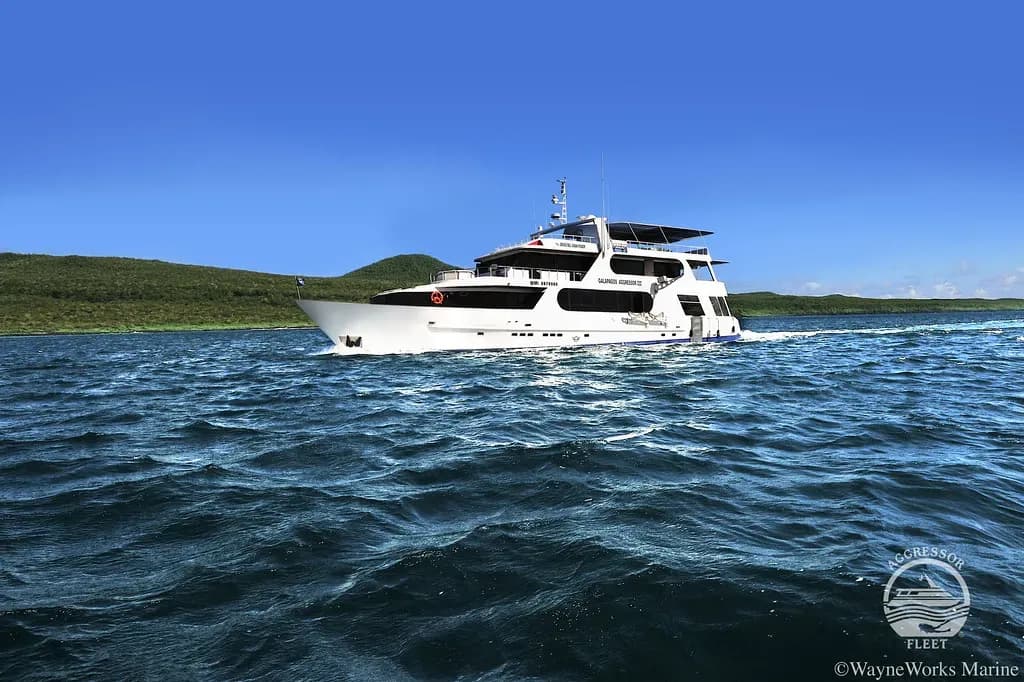 Liveaboard Dive Packing List (2025 Edition) - image Liveaboard Dive Packing List (2025 Edition) - image