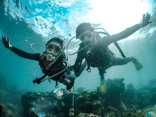 Top Family-Friendly Dive Destinations Top Family-Friendly Dive Destinations