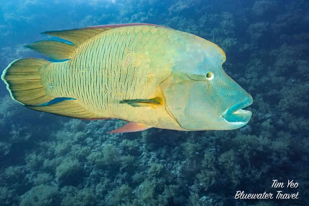 4. Red Sea 4. Red Sea