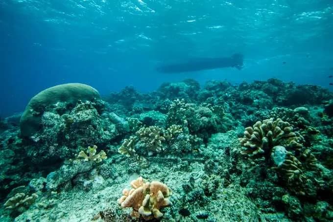 Derawan Islands - image Derawan Islands - image