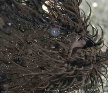Thumbnail 12 Thumbnail 12
