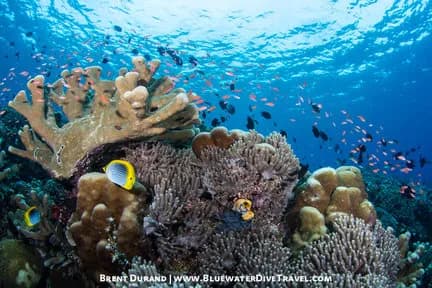 9. Manado And Bunaken 9. Manado And Bunaken