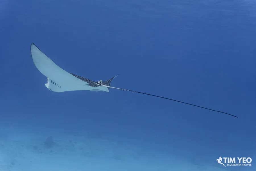 5. Cozumel 5. Cozumel