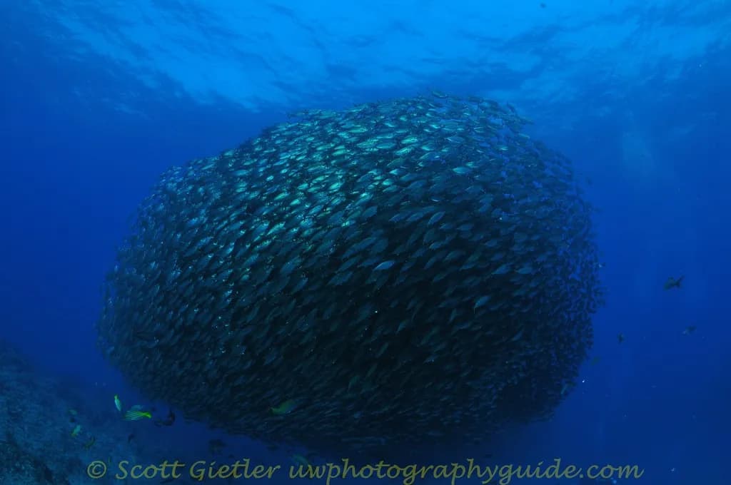 3. Sea Of Cortez 3. Sea Of Cortez