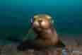 Thumbnail 5 Thumbnail 5