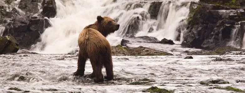 Alaska - image Alaska - image