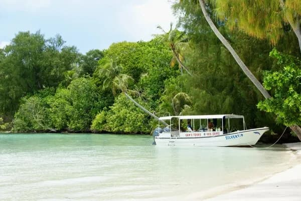 Sam's Tours Palau - image Sam's Tours Palau - image