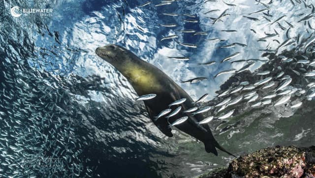 Explore Baja South To North Adventure October 2028 Explore Baja South To North Adventure October 2028
