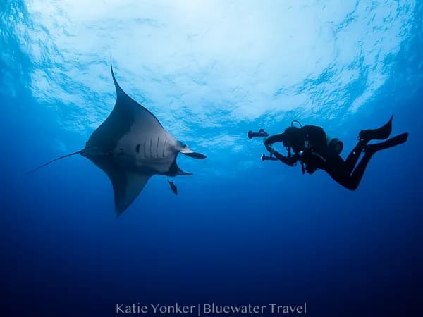 Socorro Liveaboards - image Socorro Liveaboards - image