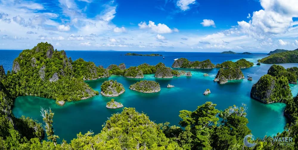 Indonesia Liveaboards - image Indonesia Liveaboards - image