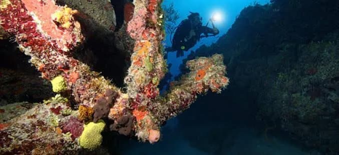Turks and Caicos Liveaboards - image Turks and Caicos Liveaboards - image