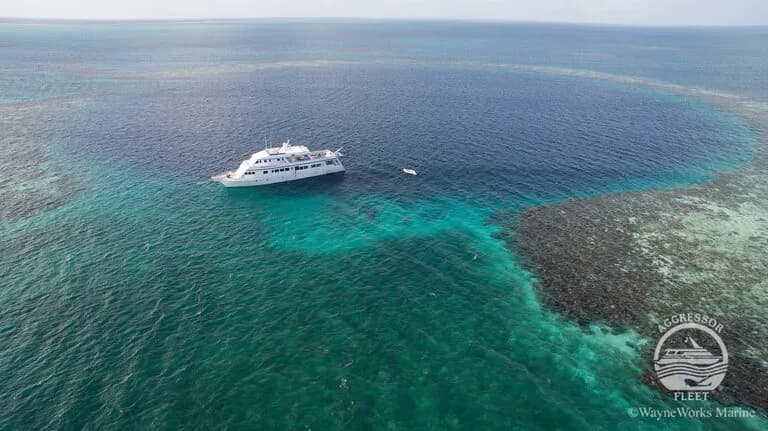 Belize Aggressor III - image Belize Aggressor III - image